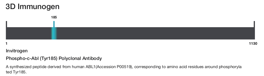 Phospho-c-Abl (Tyr185) Polyclonal Antibody