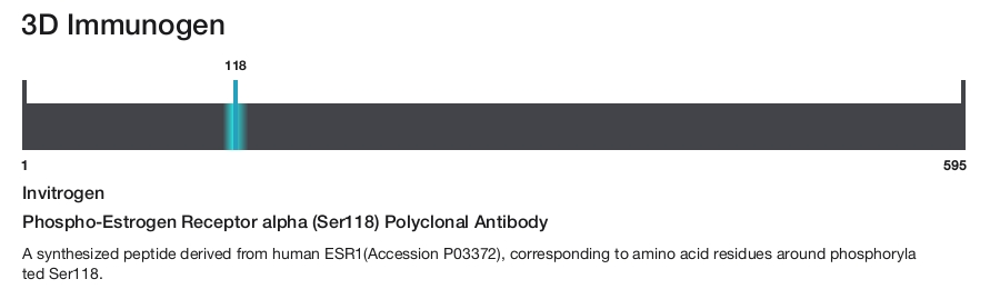 Phospho-Estrogen Receptor alpha (Ser118) Polyclonal Antibody