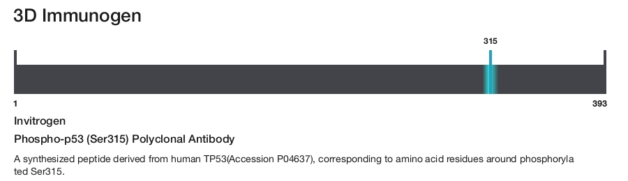 Phospho-p53 (Ser315) Polyclonal Antibody