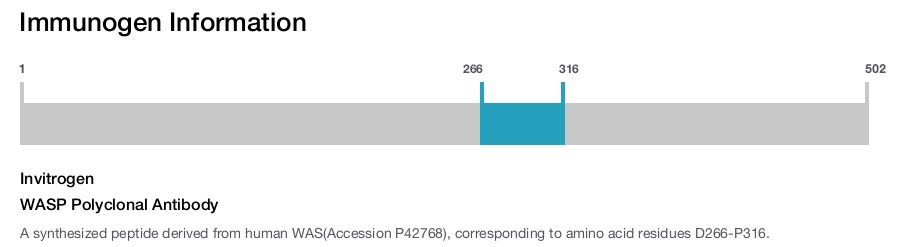 WASP Polyclonal Antibody