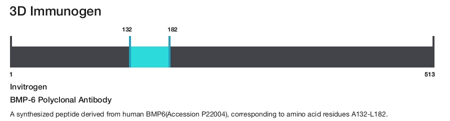 BMP-6 Polyclonal Antibody