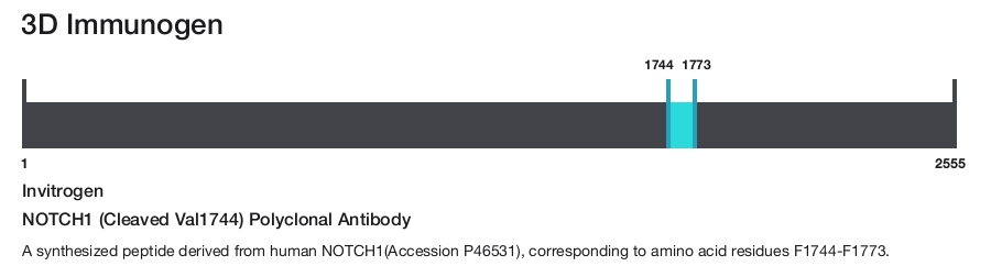 NOTCH1 (Cleaved Val1744) Polyclonal Antibody