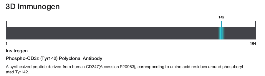 Phospho-CD3z (Tyr142) Polyclonal Antibody