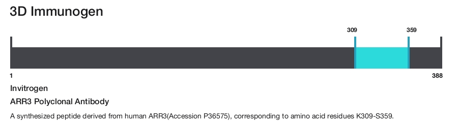 ARR3 Polyclonal Antibody