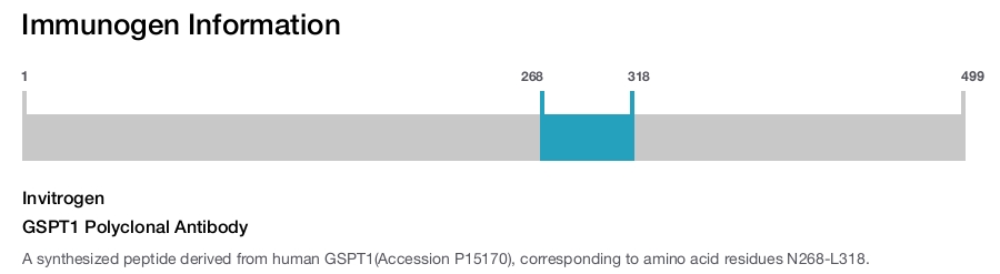 GSPT1 Polyclonal Antibody