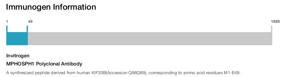 MPHOSPH1 Polyclonal Antibody