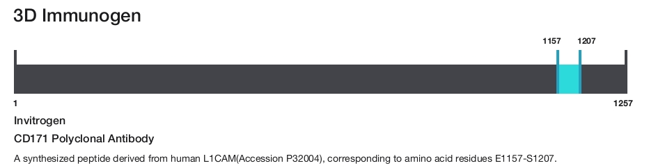 CD171 Polyclonal Antibody