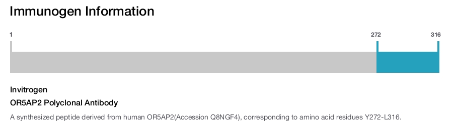 OR5AP2 Polyclonal Antibody