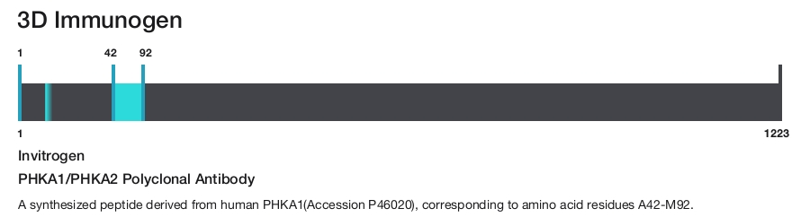 PHKA1/PHKA2 Polyclonal Antibody