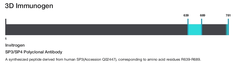 SP3/SP4 Polyclonal Antibody