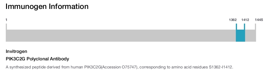 PIK3C2G Polyclonal Antibody