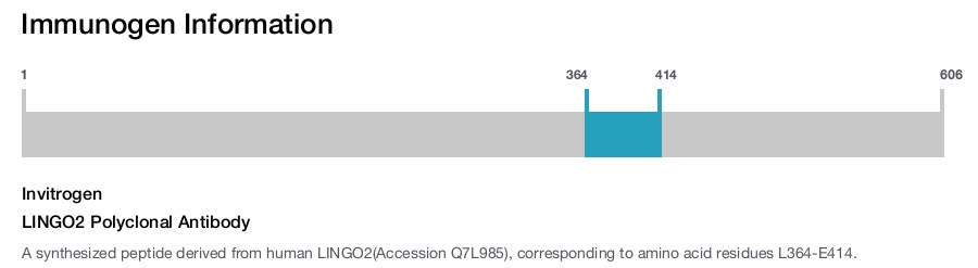 LINGO2 Polyclonal Antibody