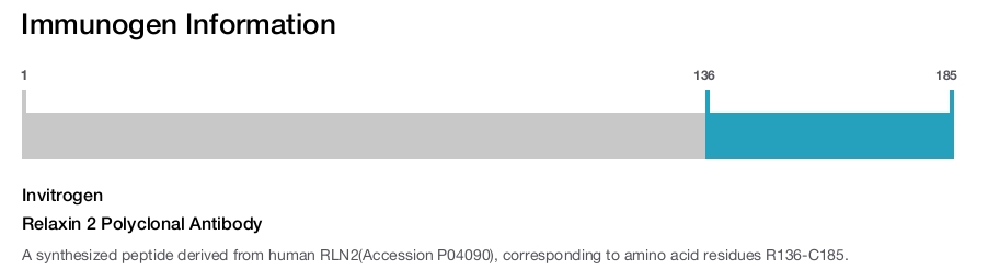 Relaxin 2 Polyclonal Antibody