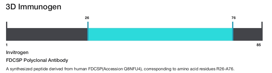 FDCSP Polyclonal Antibody