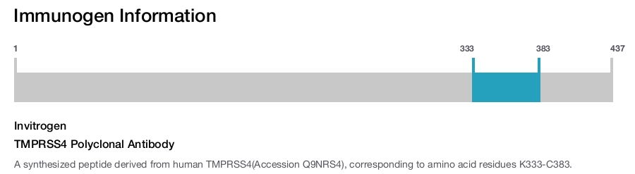 TMPRSS4 Polyclonal Antibody