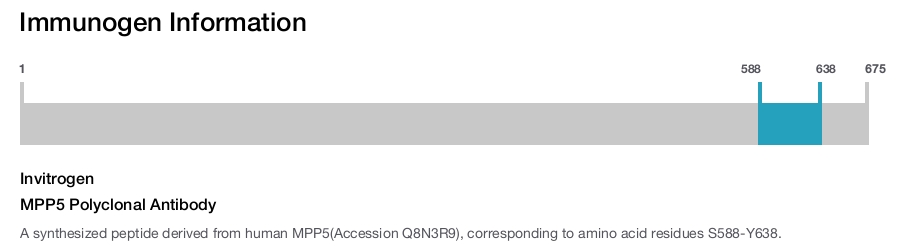 MPP5 Polyclonal Antibody