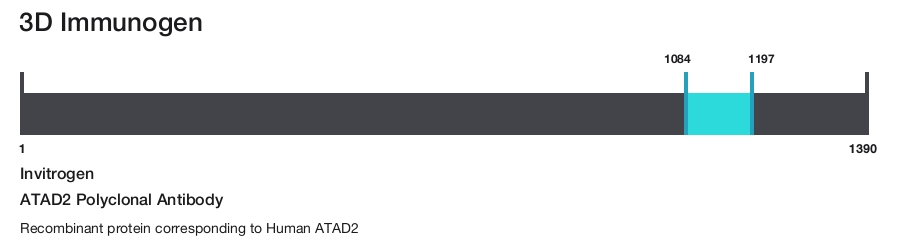 ATAD2 Polyclonal Antibody