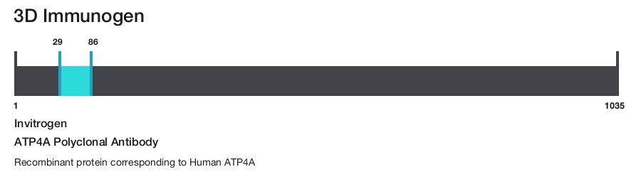 ATP4A Polyclonal Antibody