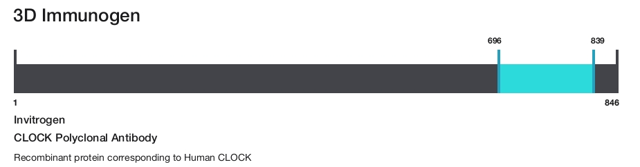 CLOCK Polyclonal Antibody
