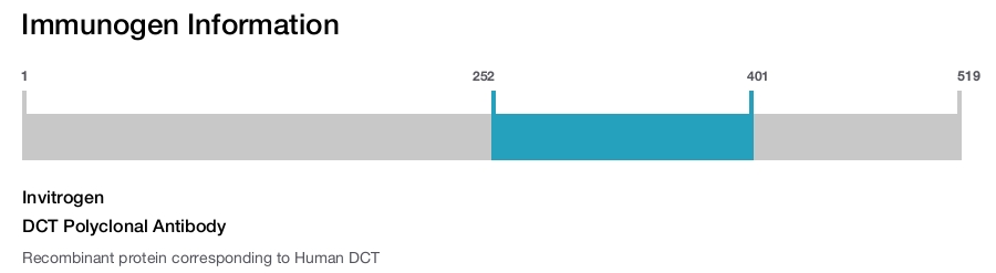DCT Polyclonal Antibody
