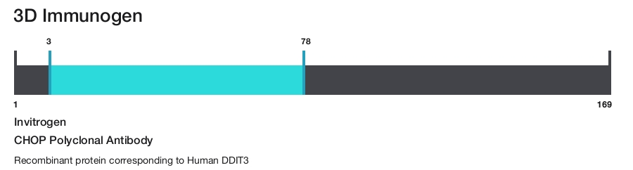 CHOP Polyclonal Antibody