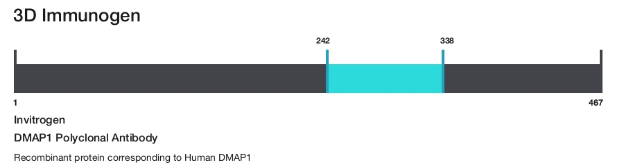 DMAP1 Polyclonal Antibody