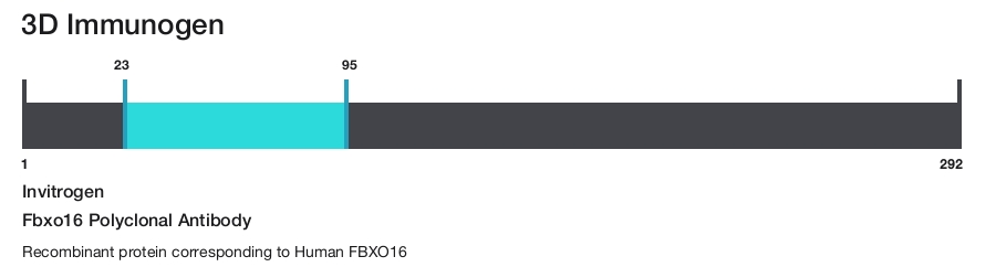 Fbxo16 Polyclonal Antibody