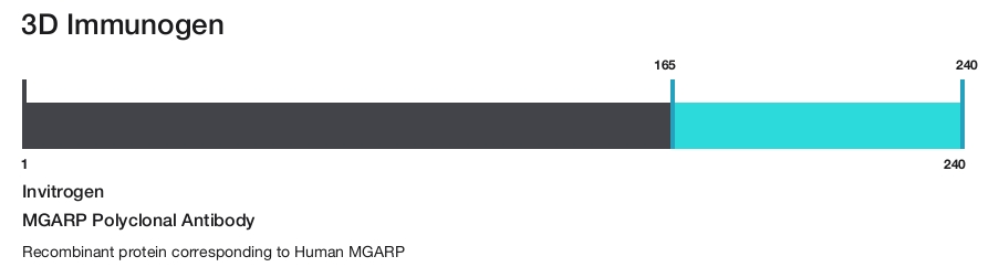 MGARP Polyclonal Antibody