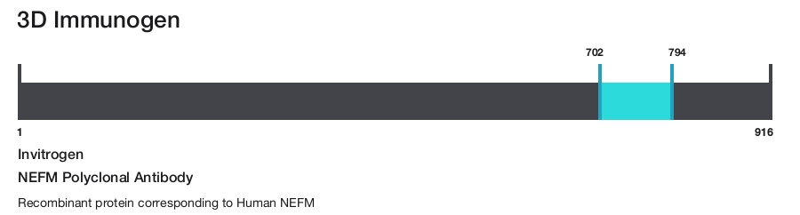 NEFM Polyclonal Antibody