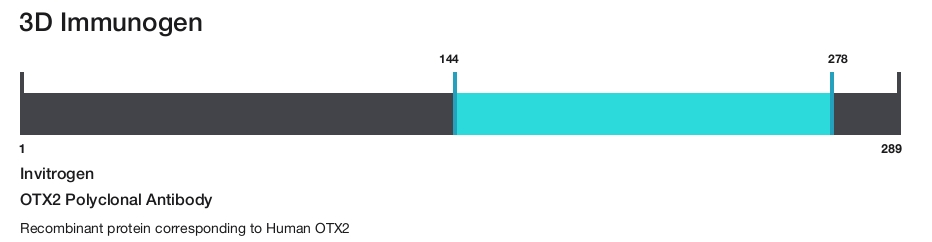 OTX2 Polyclonal Antibody