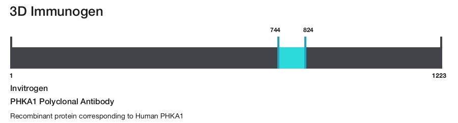 PHKA1 Polyclonal Antibody