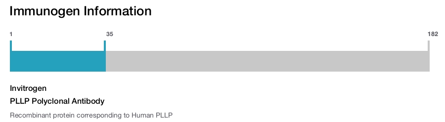 PLLP Polyclonal Antibody