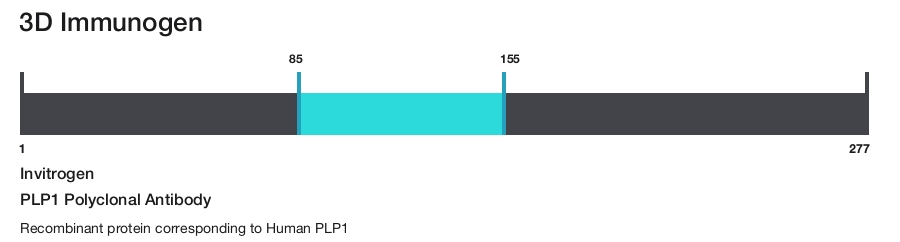 PLP1 Polyclonal Antibody