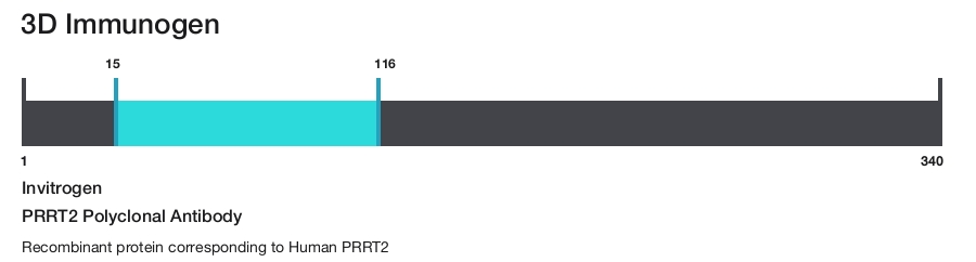 PRRT2 Polyclonal Antibody