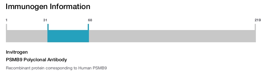 PSMB9 Polyclonal Antibody
