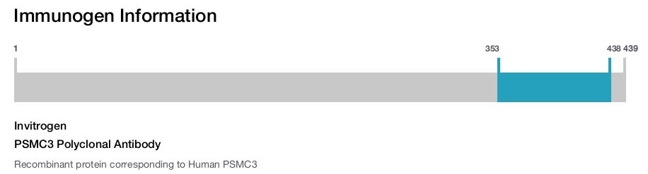 PSMC3 Polyclonal Antibody