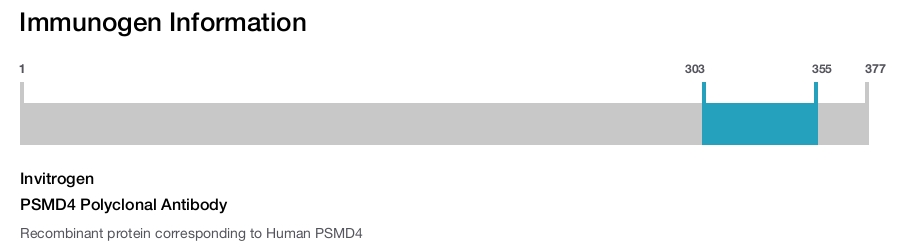PSMD4 Polyclonal Antibody