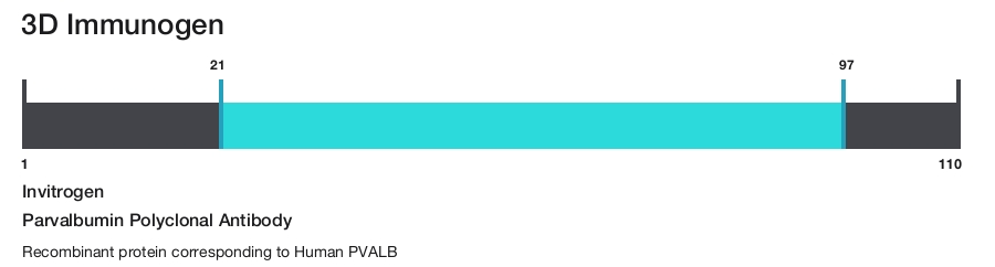 Parvalbumin Polyclonal Antibody