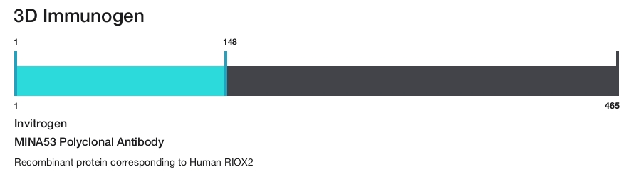MINA53 Polyclonal Antibody