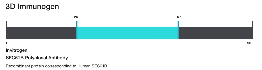SEC61B Polyclonal Antibody