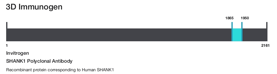 SHANK1 Polyclonal Antibody