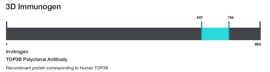 TOP3B Polyclonal Antibody