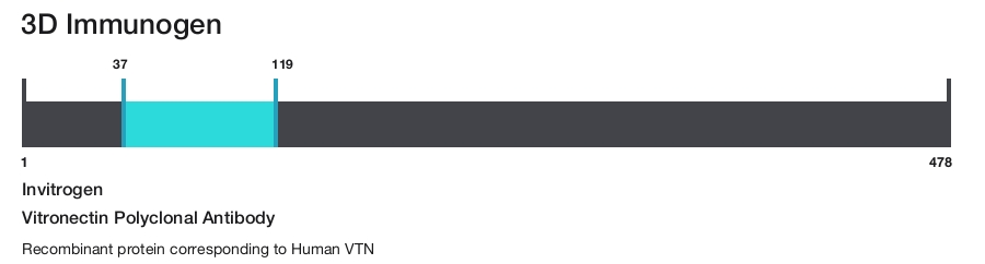 Vitronectin Polyclonal Antibody