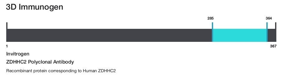 ZDHHC2 Polyclonal Antibody