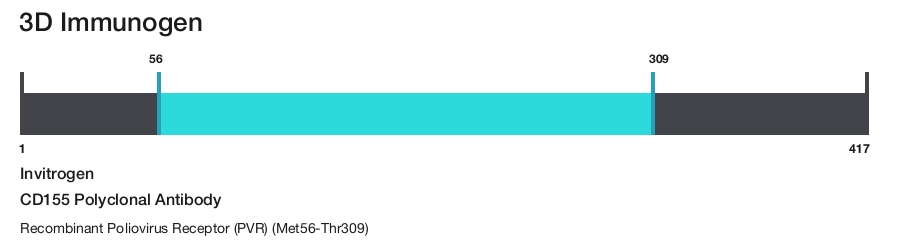 CD155 Polyclonal Antibody