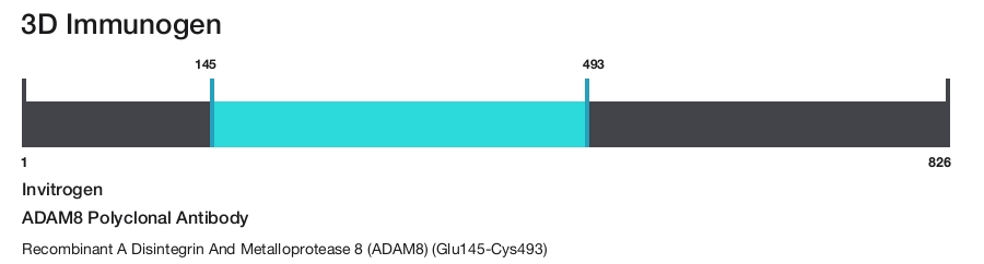 ADAM8 Polyclonal Antibody
