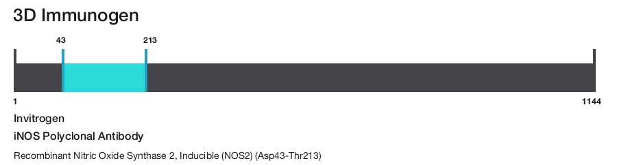 iNOS Polyclonal Antibody