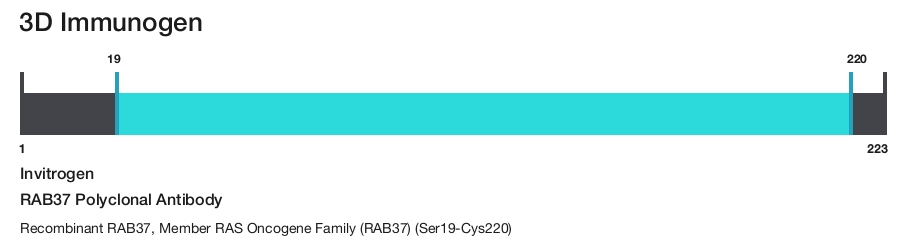 RAB37 Polyclonal Antibody
