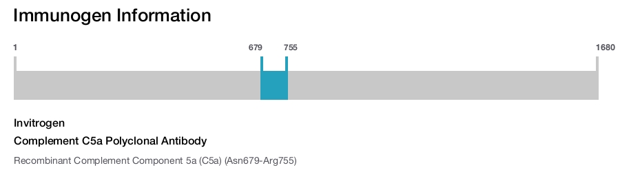 Complement C5a Polyclonal Antibody