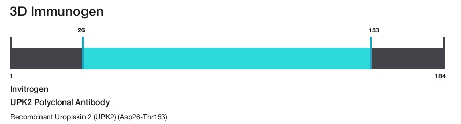 UPK2 Polyclonal Antibody